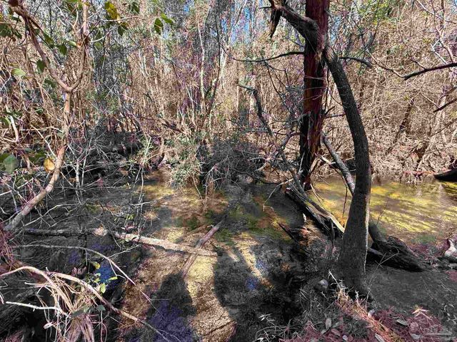 Lot 8 Creek Bluff Dr, Pace, FL 32571
