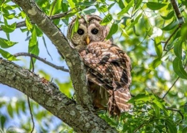 3140 E Landings S, Granbury, TX 76049