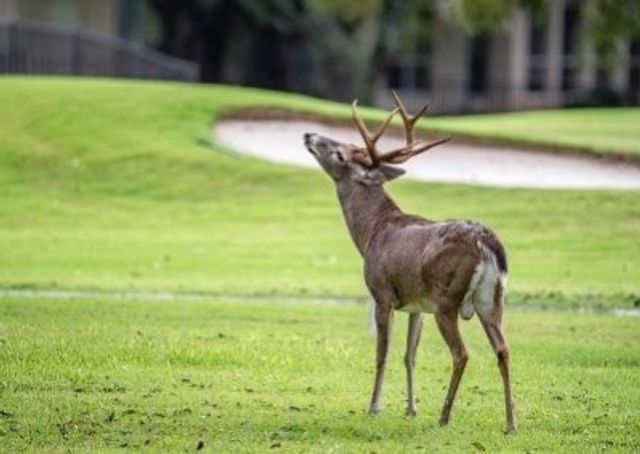 3140 E Landings S, Granbury, TX 76049