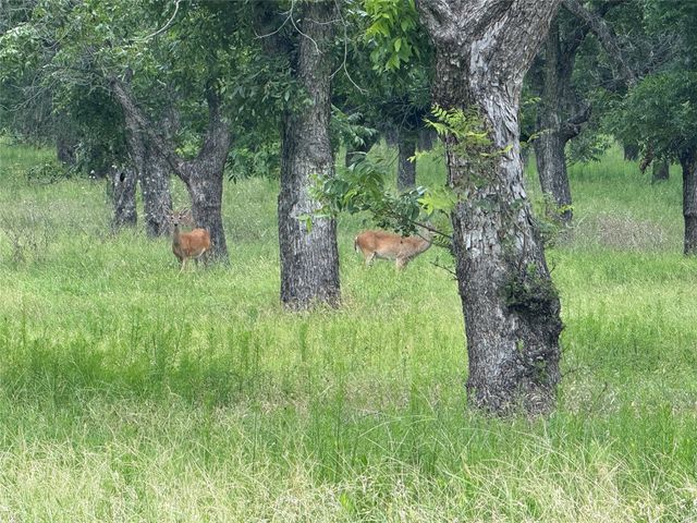 3140 E Landings S, Granbury, TX 76049