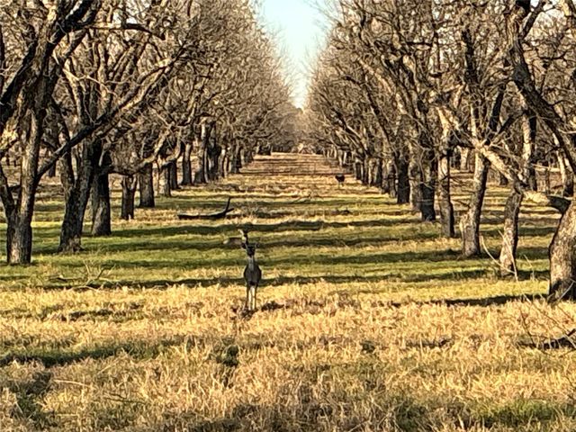 3140 E Landings S, Granbury, TX 76049