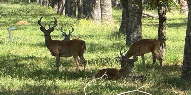 3140 E Landings S, Granbury, TX 76049