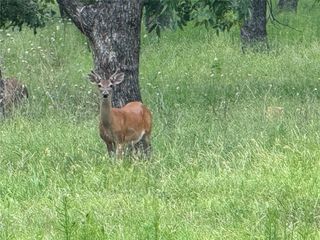 3140 E Landings S, Granbury, TX 76049