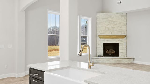 1516 Delhaven Court, Campobello, SC 29322