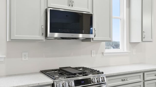 1516 Delhaven Court, Campobello, SC 29322