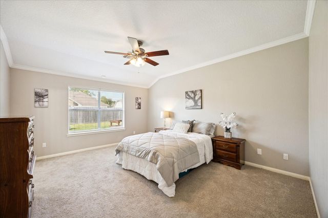 3206 Deer Trail Drive, Alvin, TX 77511