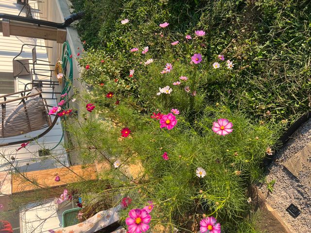 151 Covered Bridge Lane, Frankfort, KY 40601