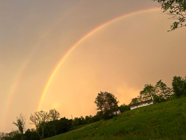 151 Covered Bridge Lane, Frankfort, KY 40601