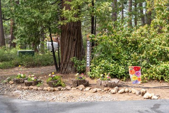 625 Larkspur Ct, Murphys, CA 95247