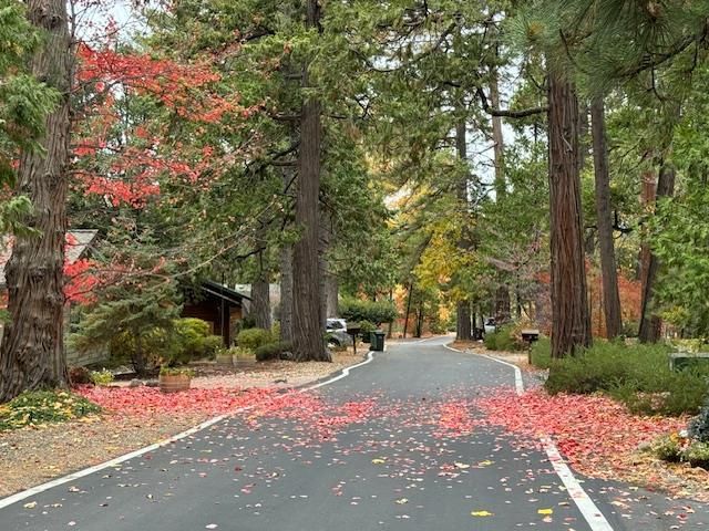 625 Larkspur Ct, Murphys, CA 95247