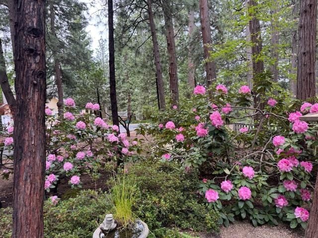 625 Larkspur Ct, Murphys, CA 95247