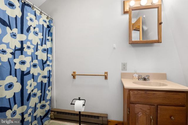 513 FAIRWAY DR, Basye, VA 22810