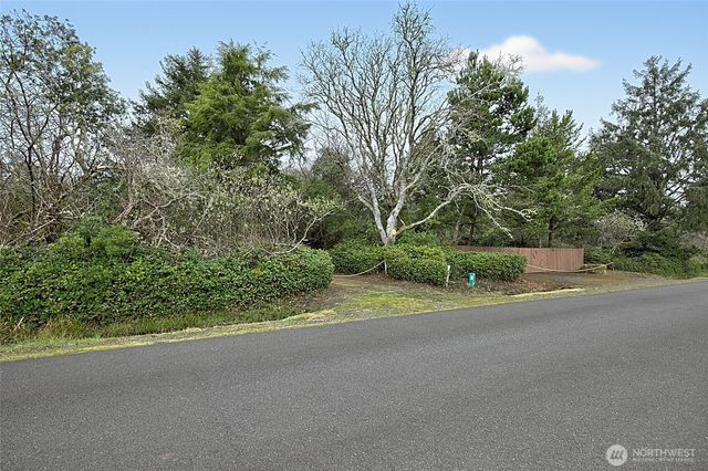 185 S Narwhal Loop SW, Ocean Shores, WA 98569