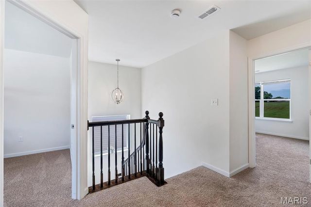 16725 River Stone Drive, Florissant, MO 63031