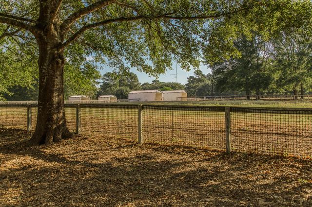 3927 N Fm 1486 Road, Montgomery, TX 77356