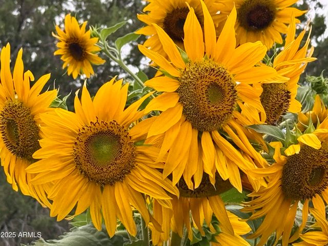 41 Country Lane, Sedona, AZ 86336