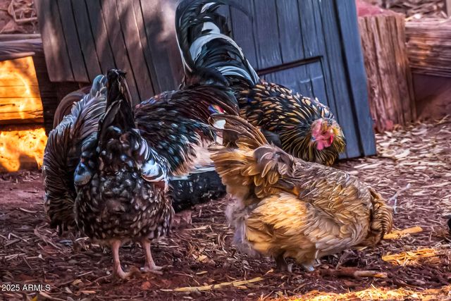 41 Country Lane, Sedona, AZ 86336