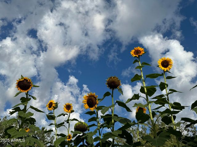 41 Country Lane, Sedona, AZ 86336