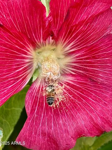 41 Country Lane, Sedona, AZ 86336