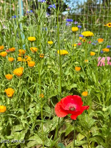 41 Country Lane, Sedona, AZ 86336