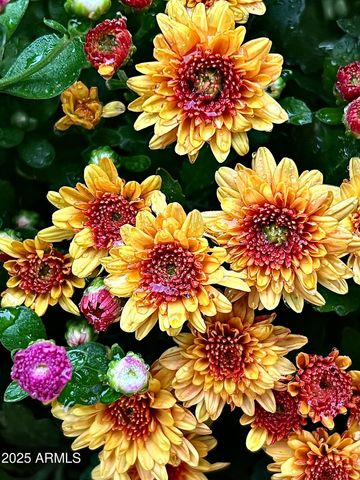 41 Country Lane, Sedona, AZ 86336