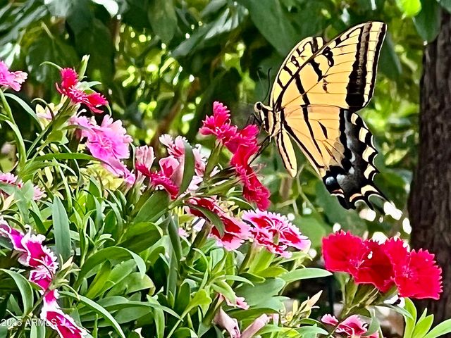 41 Country Lane, Sedona, AZ 86336