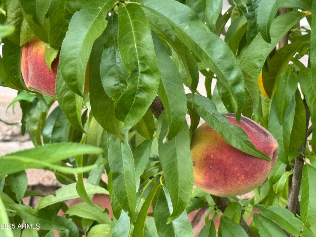 41 Country Lane, Sedona, AZ 86336