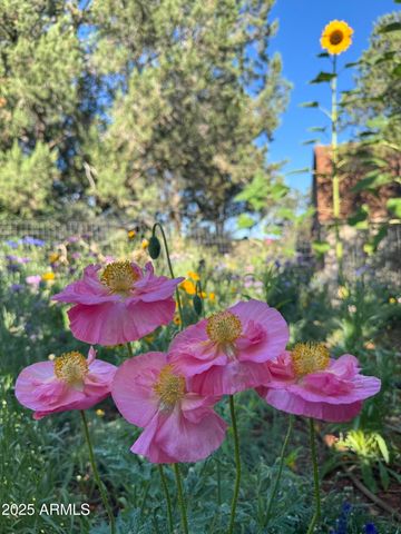 41 Country Lane, Sedona, AZ 86336