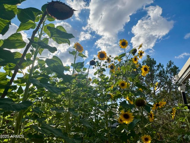 41 Country Lane, Sedona, AZ 86336