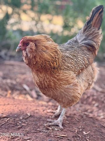 41 Country Lane, Sedona, AZ 86336