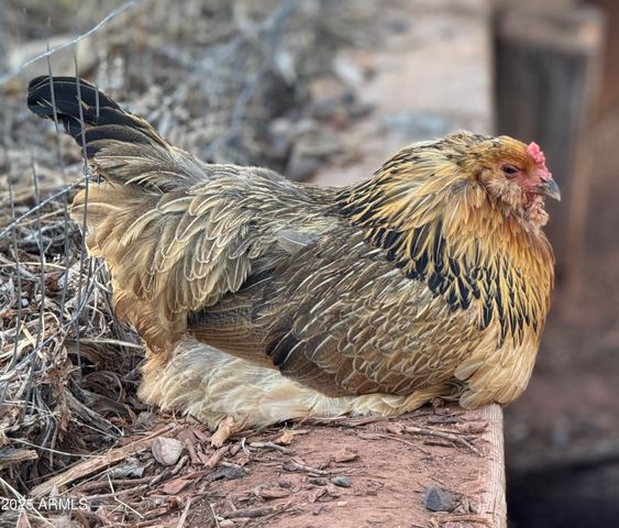 41 Country Lane, Sedona, AZ 86336