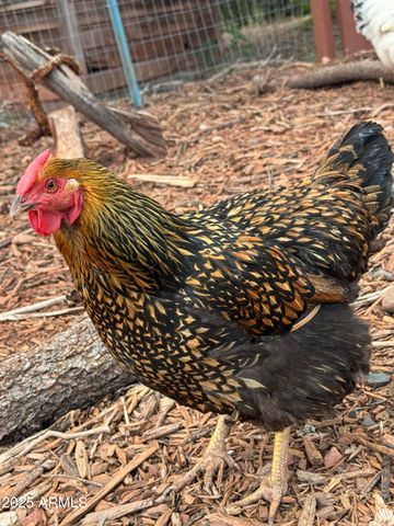 41 Country Lane, Sedona, AZ 86336