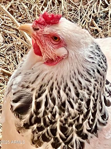 41 Country Lane, Sedona, AZ 86336