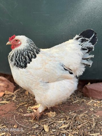 41 Country Lane, Sedona, AZ 86336