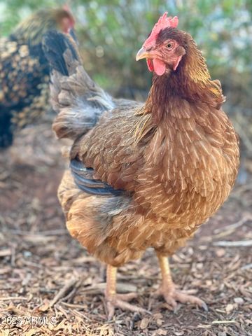 41 Country Lane, Sedona, AZ 86336