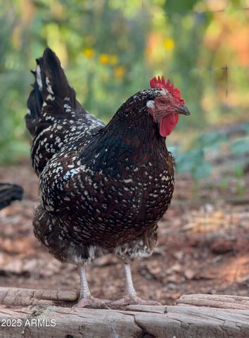 41 Country Lane, Sedona, AZ 86336