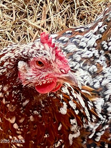 41 Country Lane, Sedona, AZ 86336