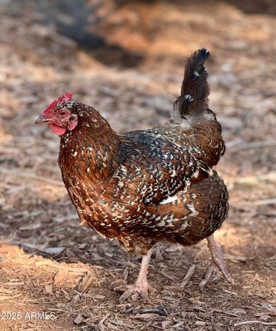 41 Country Lane, Sedona, AZ 86336