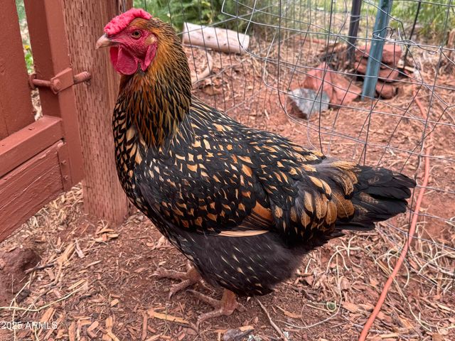 41 Country Lane, Sedona, AZ 86336