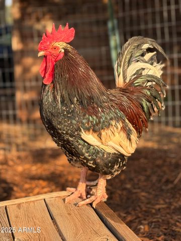 41 Country Lane, Sedona, AZ 86336