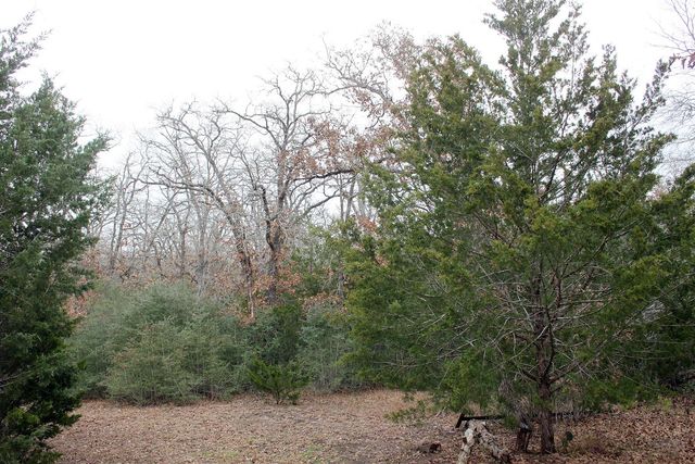 8729 E Fm 20 Highway, Dale, TX 78616