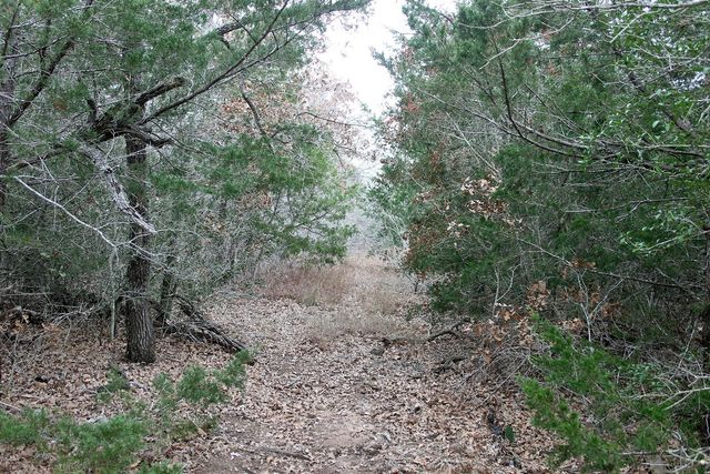 8729 E Fm 20 Highway, Dale, TX 78616