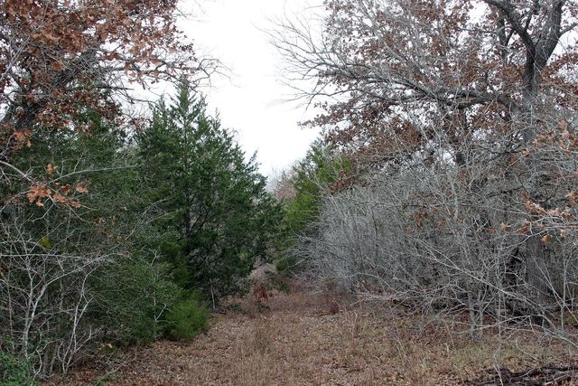 8729 E Fm 20 Highway, Dale, TX 78616