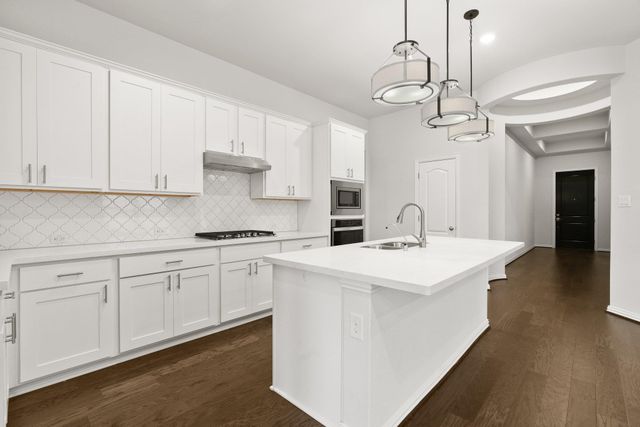 223 Oleander LOOP, Buda, TX 78610