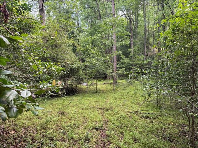 3.5 AC Ben Higgins Road, Dahlonega, GA 30533