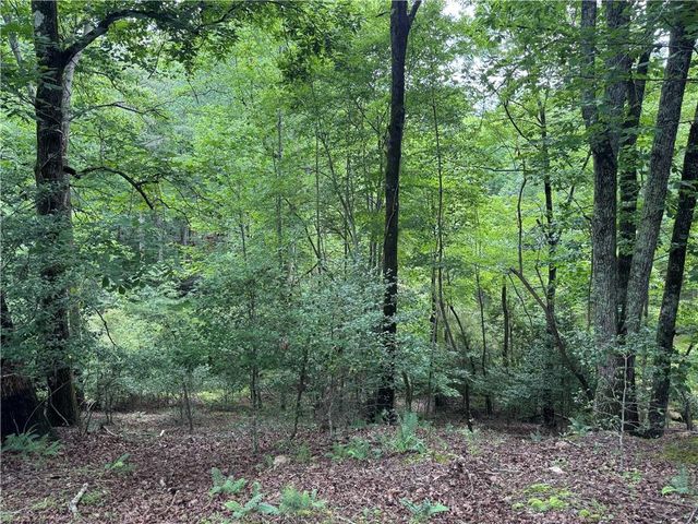 3.5 AC Ben Higgins Road, Dahlonega, GA 30533