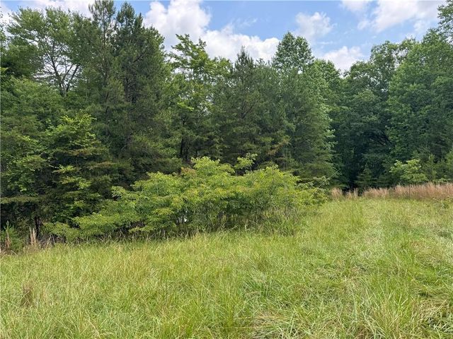 3.5 AC Ben Higgins Road, Dahlonega, GA 30533