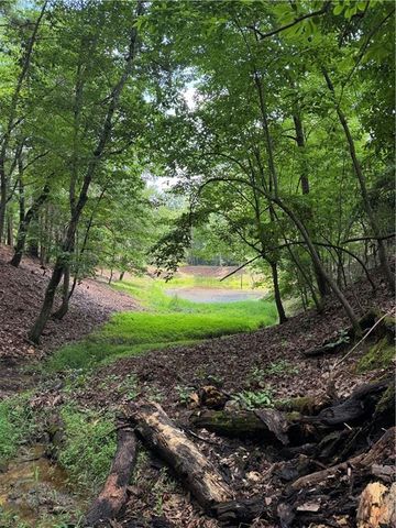 3.5 AC Ben Higgins Road, Dahlonega, GA 30533