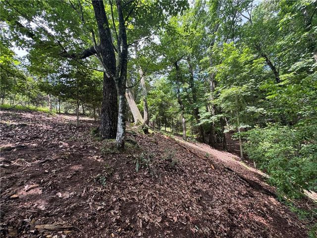 3.5 AC Ben Higgins Road, Dahlonega, GA 30533