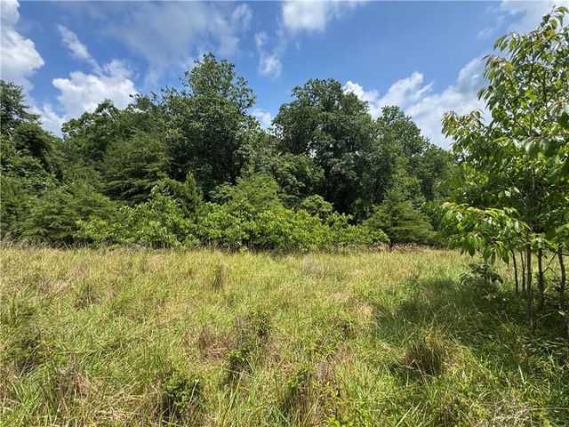 3.5 AC Ben Higgins Road, Dahlonega, GA 30533